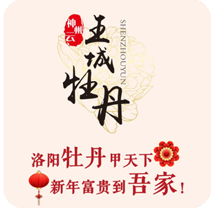 洛阳牡丹甲天下 花开富贵到吾家