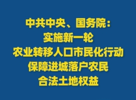 《乡村全面振兴规划（2024—2027年）》要点重点